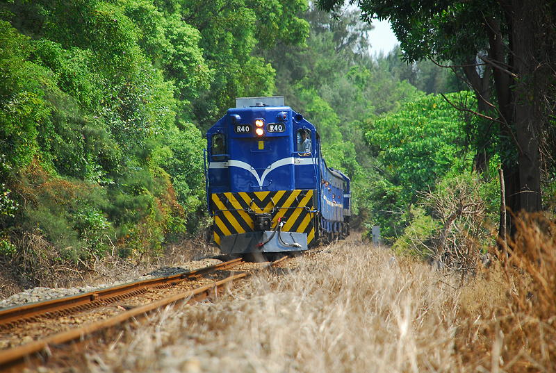 R40牽引ILLSMP鐵道迷團體[兩鐵慢活]專列專列257次編組進入林口線。20100828。